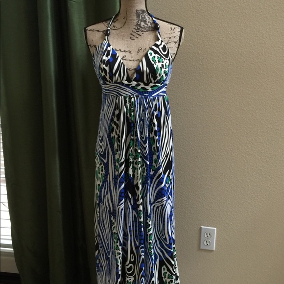 Alyn Paige Dresses & Skirts - Alyn Paige Maxi Dress